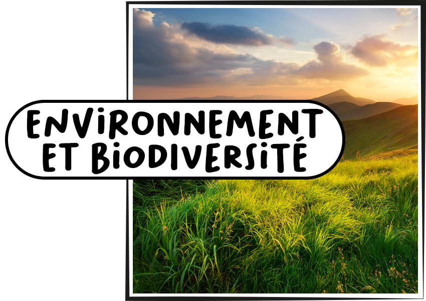 button_medioambiente_sostenibilidad_fr